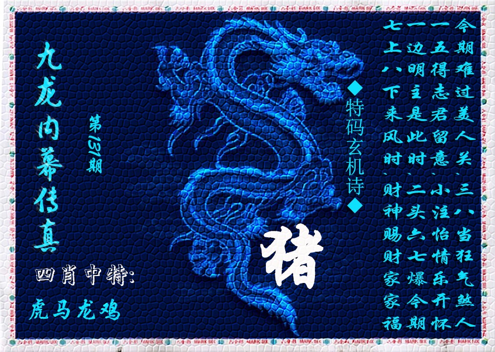 131期九龙内幕传真(新上市)[图]