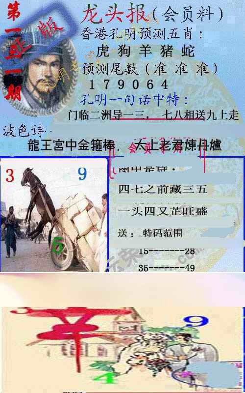 131期龙头报[图]
