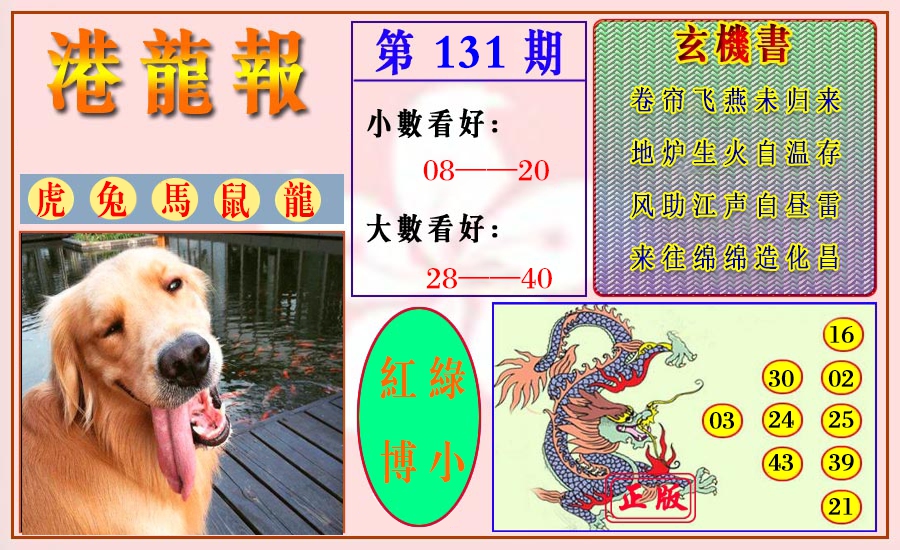 131期港龙报[图]
