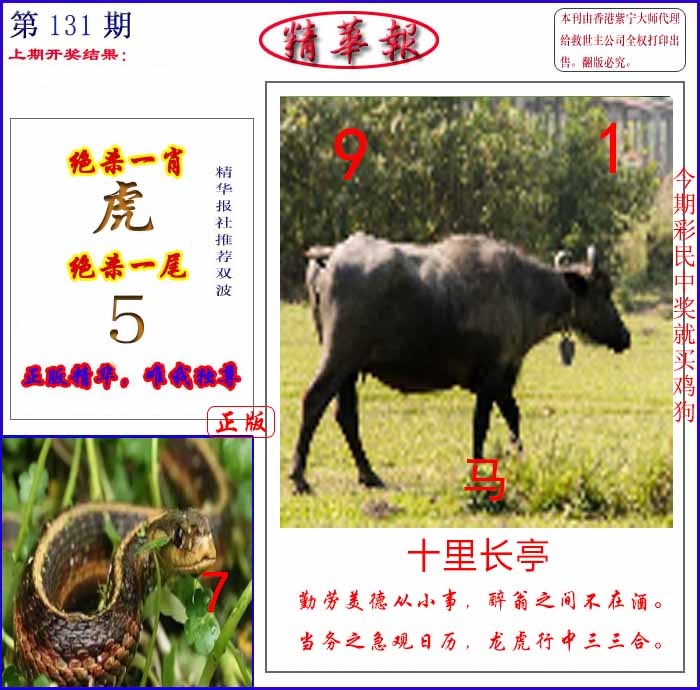 131期新精华报报[图]