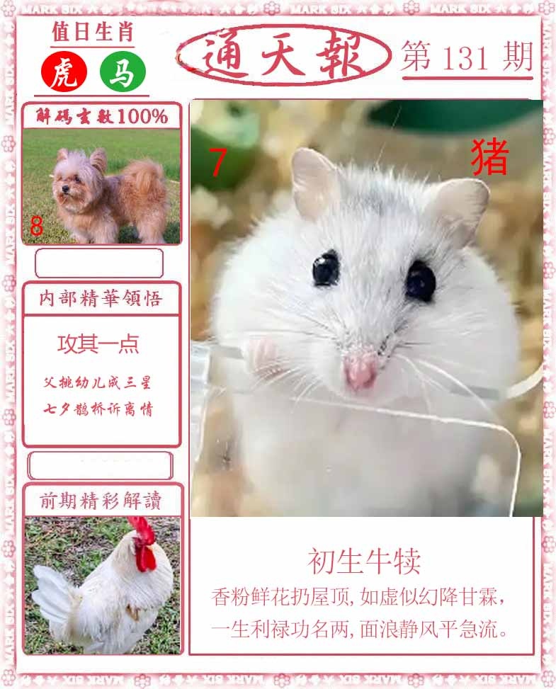131期正版通天报[图]