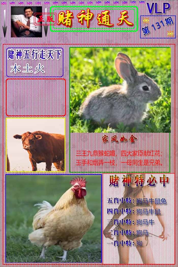 131期赌神通天报[图]
