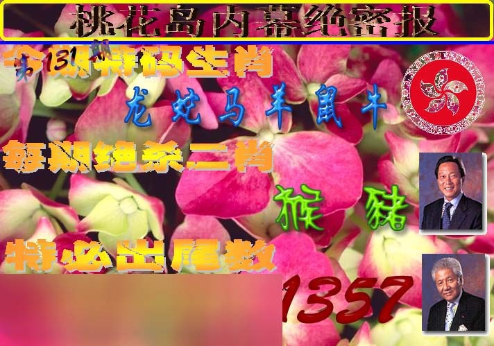 131期桃花岛内幕报[图]