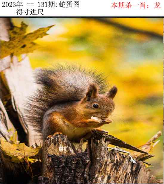 131期正版蛇蛋图[图]